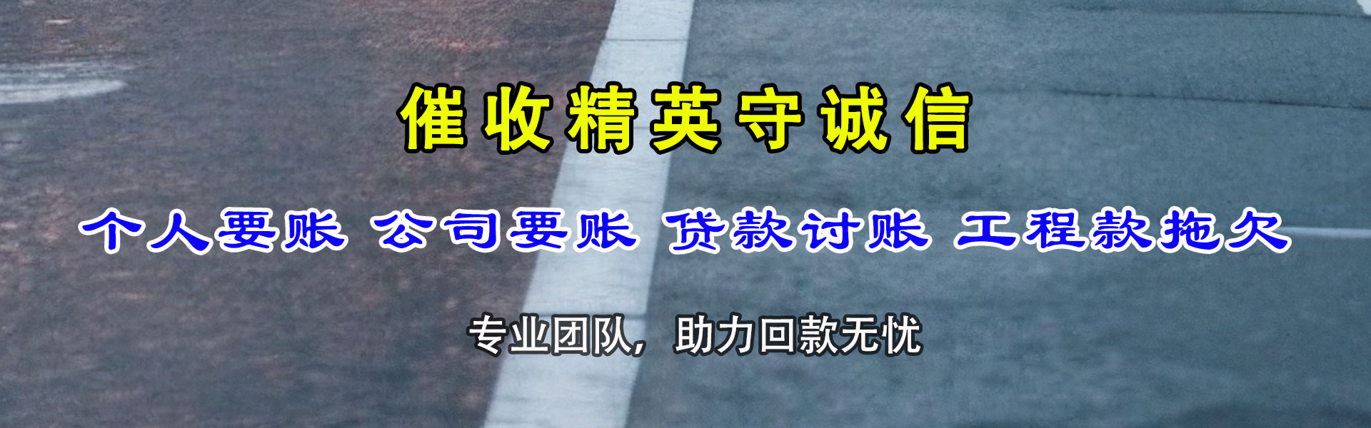 大宁清数公司